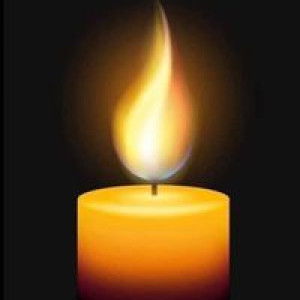 Doris Paustor profile icon