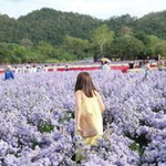 Gi Leum profile icon