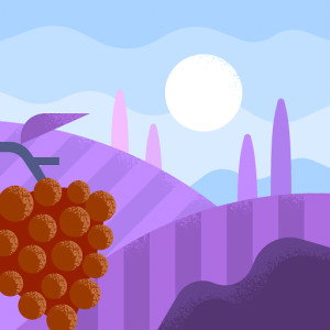 nasron yani profile icon