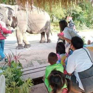 รู้ได้ แต่อย่ารู้ดี. profile icon