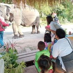 รู้ได้ แต่อย่ารู้ดี. profile icon