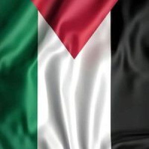 Aishah Ab Rahman profile icon