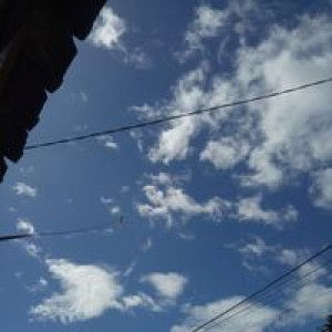 Nani suryani profile icon