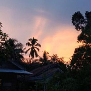 Sulis Daryanti profile icon