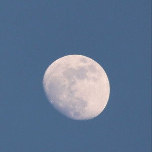 Kanjana Kjn profile icon