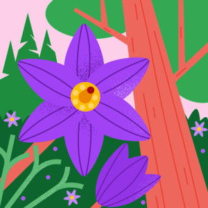 Devi Febrianti profile icon