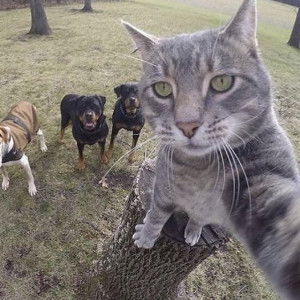 Rocco15 profile icon