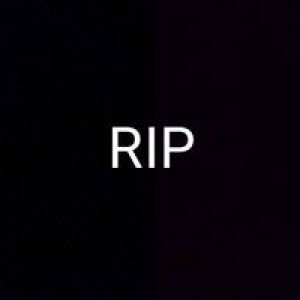 แม่น้องผักบุ้ง กวางตุ้ง คะน้า profile icon