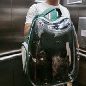 Mahani Md Zali profile icon