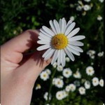 Charis sa profile icon