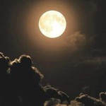 นิว profile icon