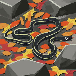 Yanti Firman09 profile icon