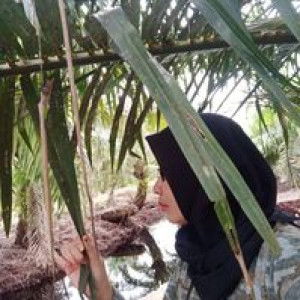 Enggar Enggar profile icon