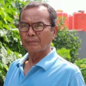 Agnes Petresia Tifani Manurung profile icon