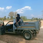 Bowie Npc profile icon