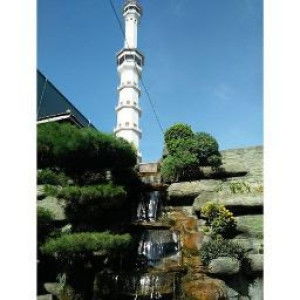 Mt Jawa tengah profile icon