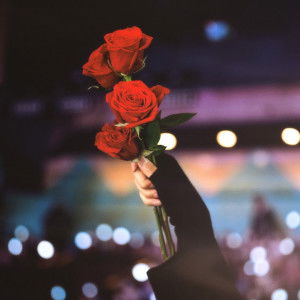 Dyah Ayu profile icon