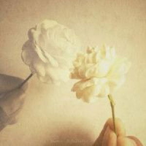 Cherry Chukijrungroj profile icon