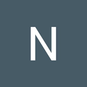 Nouna Safitri profile icon