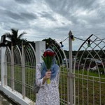 Lala Lee profile icon