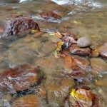 Insan Hebat profile icon