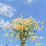 Kim Kai profile icon