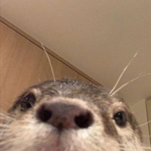 005 นรีรัตน์ เต็มเปี่ยม profile icon