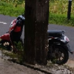 Wardatul Hasanah profile icon