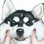 Agnes Novia profile icon