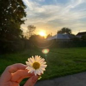 Ummu Arseem profile icon