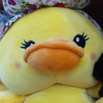 Hefiana profile icon