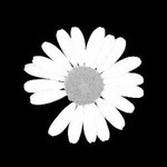 Istrinya Kyungsoo profile icon