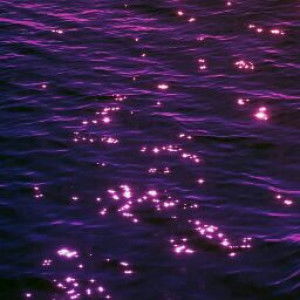 Sandy Heaven profile icon