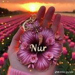Nurr hanni profile icon