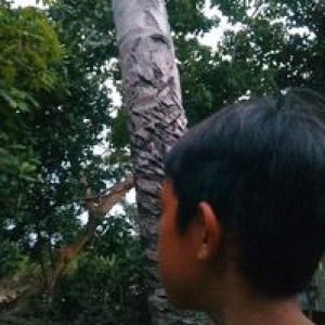 Emman Torres profile icon