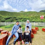 Nur Syarafina Fauzi profile icon