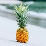 Blossomxyz profile icon