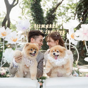 Phatthanachat Kaputtha profile icon