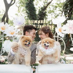 Phatthanachat Kaputtha profile icon