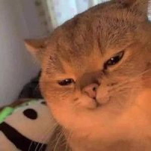 Aon Niix profile icon