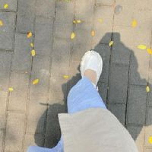 Dyanti Dirga Ardiky profile icon