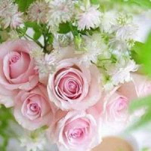 Siti Halimah profile icon