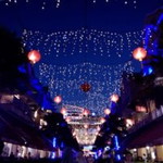 Eryn Sue profile icon