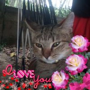 น้ำหนึ่ง น้ำหนึ่ง profile icon