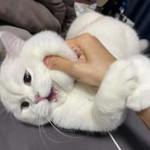 宝 贝 profile icon