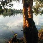 Mulinda Ayu Bela Mega profile icon