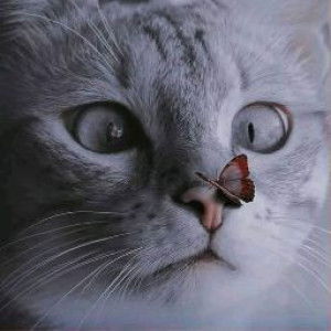 Yesi Asmara profile icon