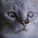 Yesi Asmara profile icon