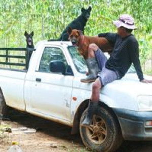 หร๋อง หร๋อง profile icon