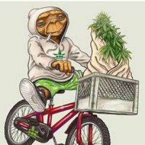 รุ่งนภา ผดุงเกษม profile icon